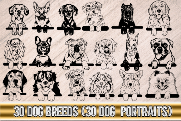 Dog Breeds Bundle SVG Vol.2 – A Designer’s Take