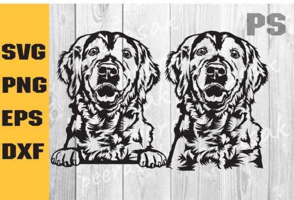 Golden Retriever SVG, Goldie, Dog – Real Embroidery Review