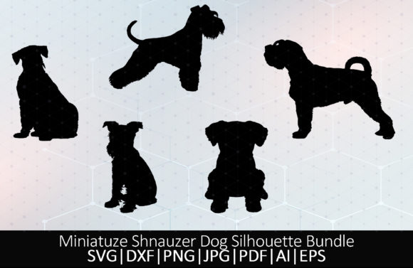 Miniature Schnauzer Dog – A Designer's Honest Take