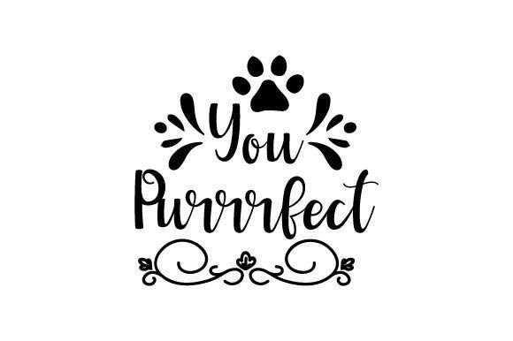 You Purrrfect: A Practical Review for Embroidery Designers